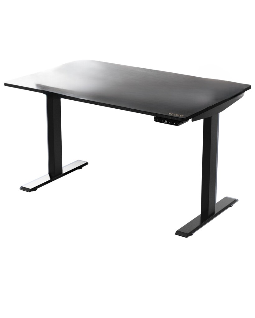 30 Inch Adjustable Stainless Steel Computer Desk In Black by Homeroots ...