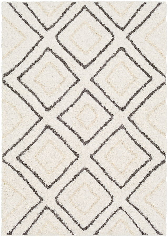 Surya Cut and Loop Shag Charcoal Cream Polypropylene Area Rug - 36x24 - 1StopBedrooms.