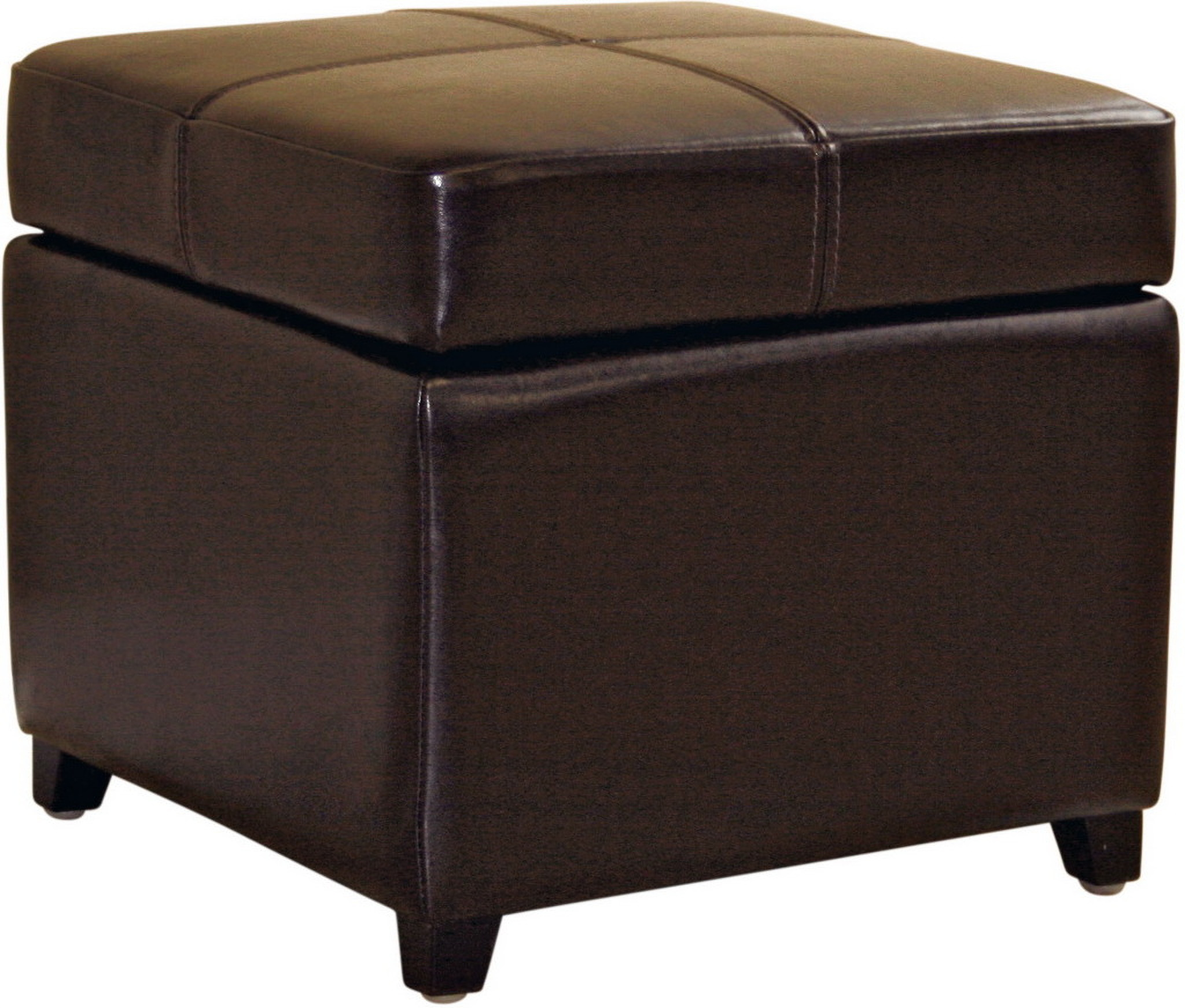 Baxton Studio Dark Brown Full Leather Storage Cube Ottoman 1stopbedrooms