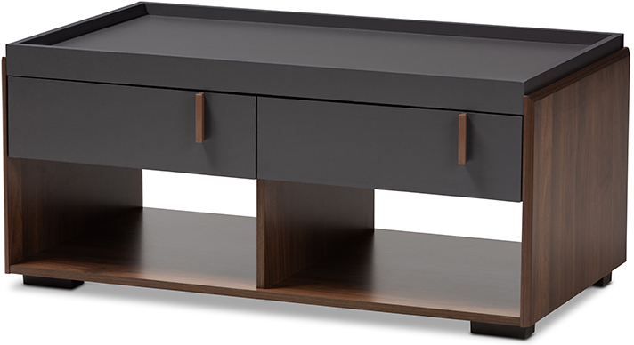 Baxton Studio Rikke Modern And Contemporary Two Tone Gray And Walnut Finished Wood 2 Drawer Coffee Table 1stopbedrooms