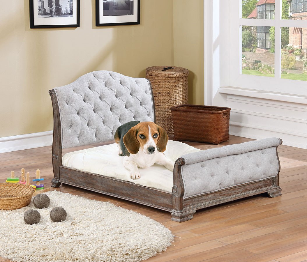 upholstered dog bed