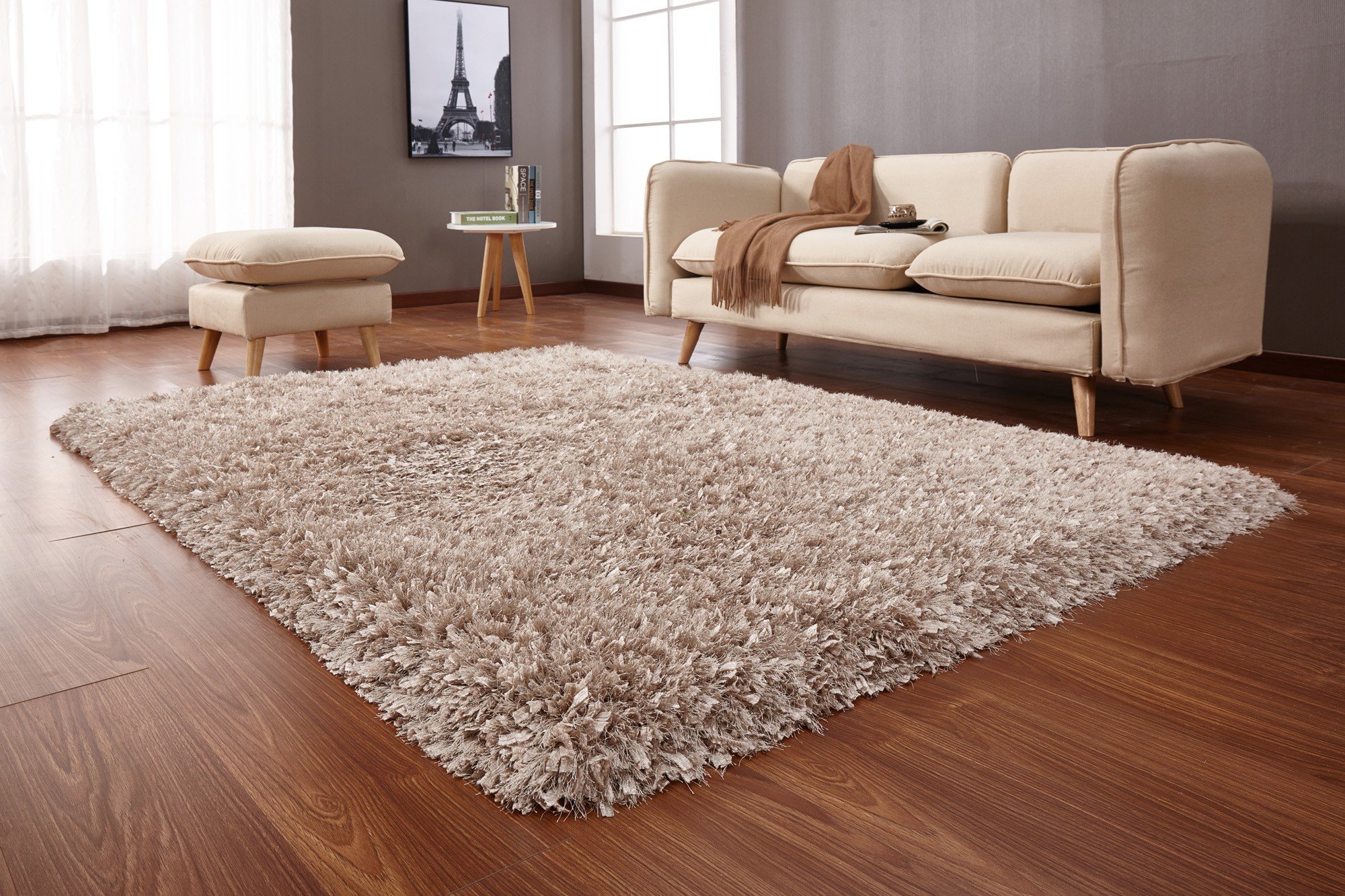 living room rugs shag color