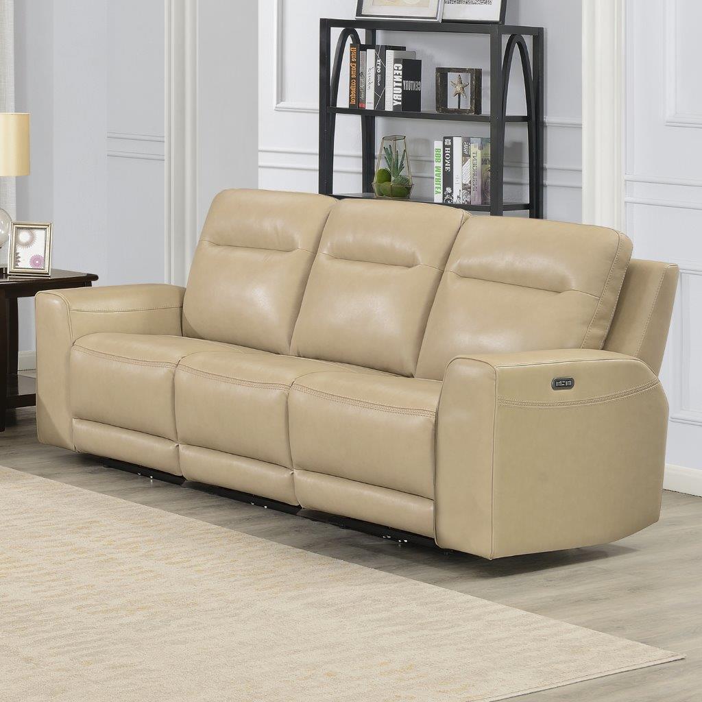 Delange Power Reclining Sofa 1stopbedrooms