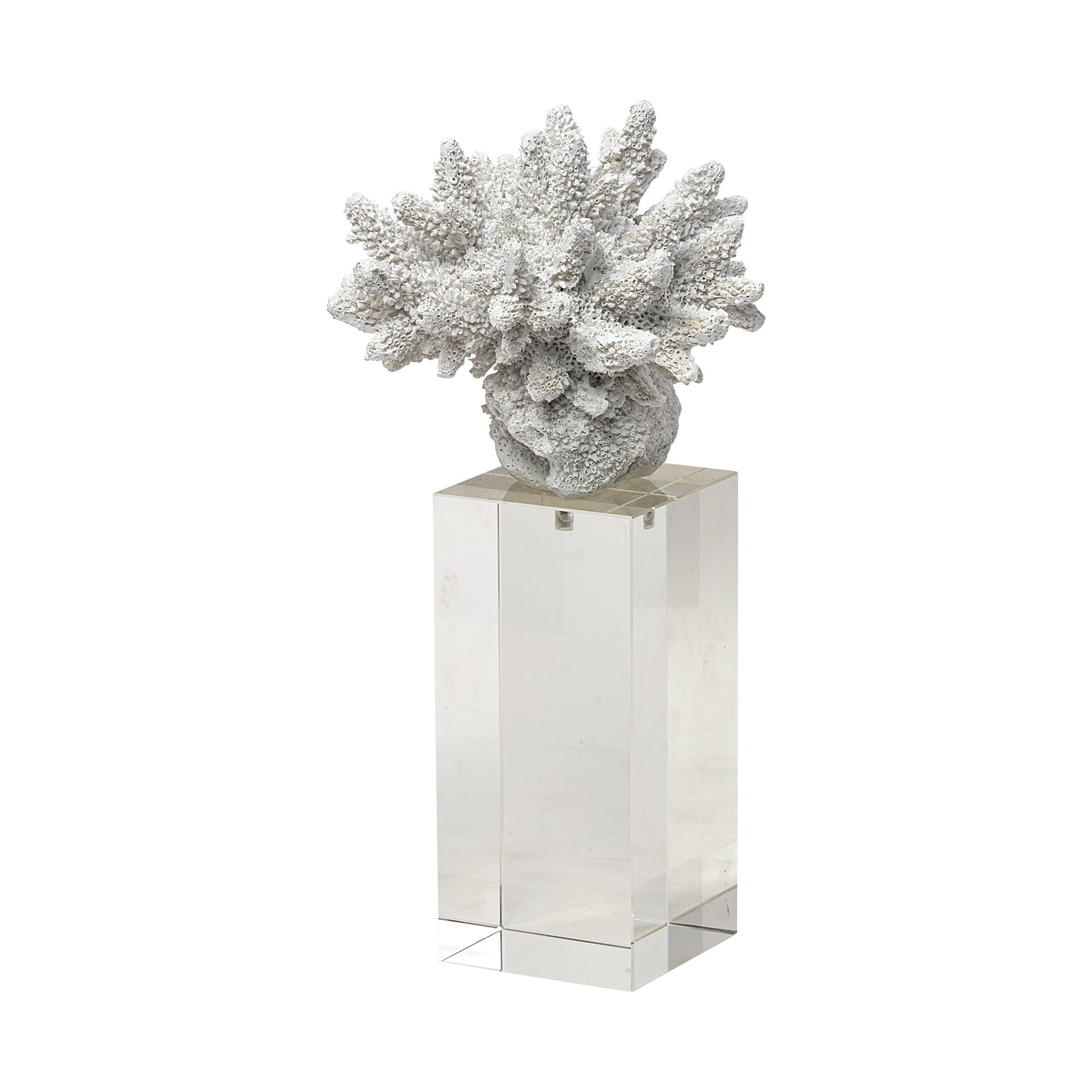 Isla 5 x 5 Inch Large Replica Resin Coral On Clear White Glass In White