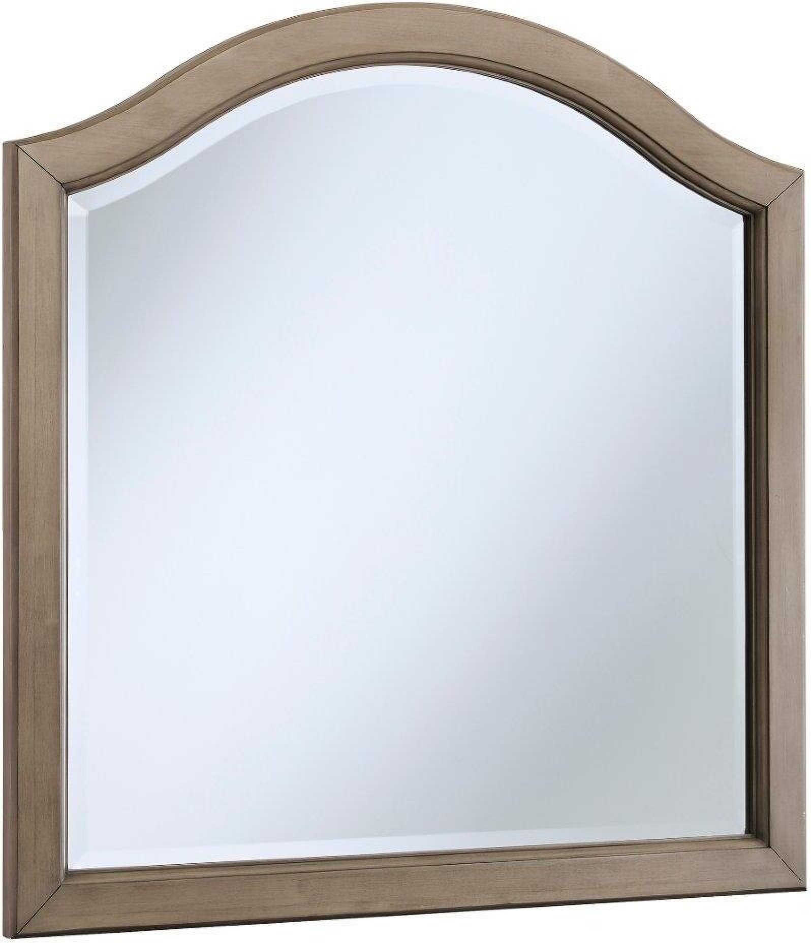 Bernards Asheville Driftwood Mirror