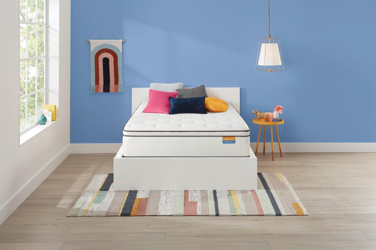 Simmons beautyrest dreamwell deals mattress