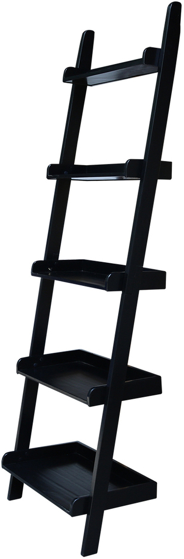International Concepts Lean To Shelf Units With 5 Shelves