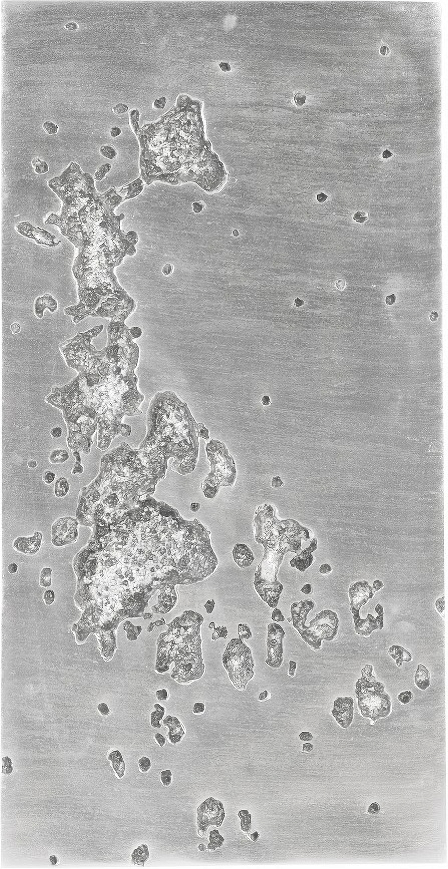 Splotch Wall Art PH94492 by Phillips Collection | 1StopBedrooms