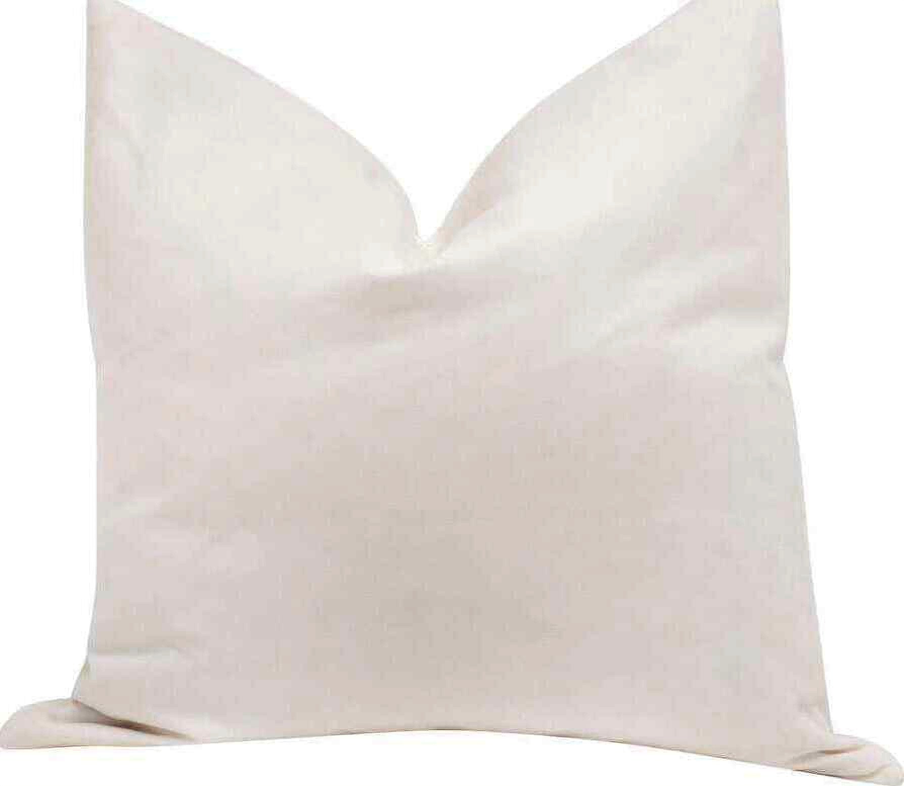 22 best sale inch pillow