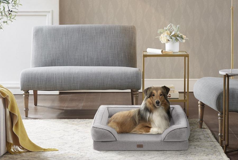 Pet-Friendly Living Room Furniture