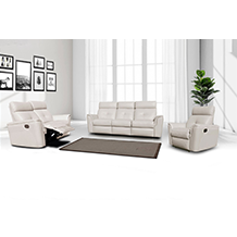 8501 Collection