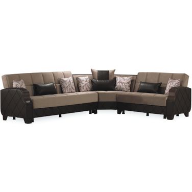 Molina Collection