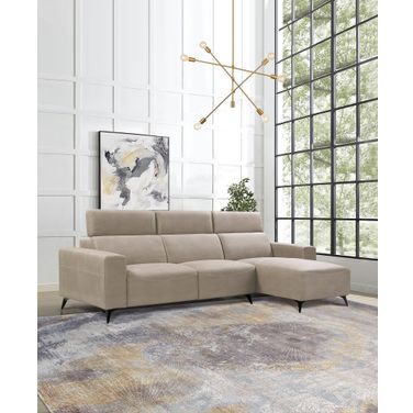 Contempo Collection