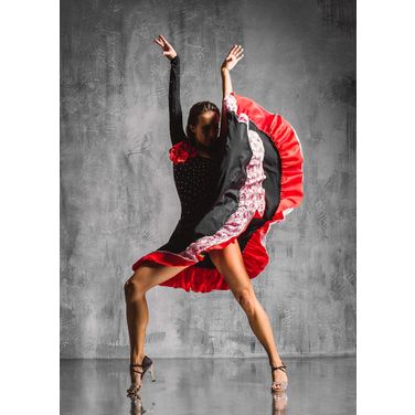 Red and Black Flamenco Wall Art