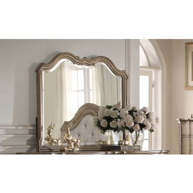 Acme Chelmsford Landscape Mirror in Antique Taupe