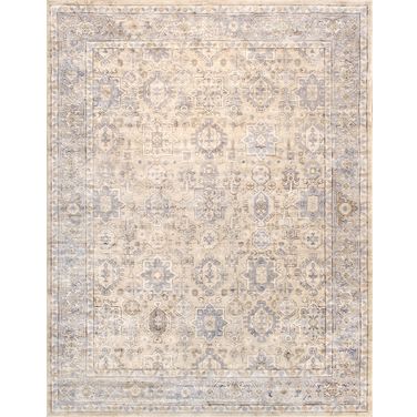 Amadeus Design Power Loom Area Rug- 10' x 14' In Beige and Blue