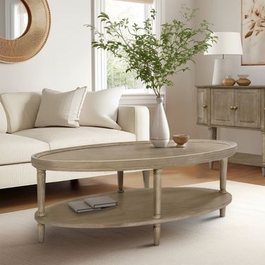 Ayanna Oval Coffee Table with Shelf In Reclaimed Greige