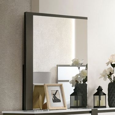 Birsfelden Mirror In Metallic Gray
