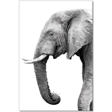 Black and Gray Tusk Wall Art