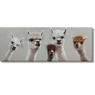 Contemplative Llama Squad with Quirky Bangs Canvas Wall Art In Multi