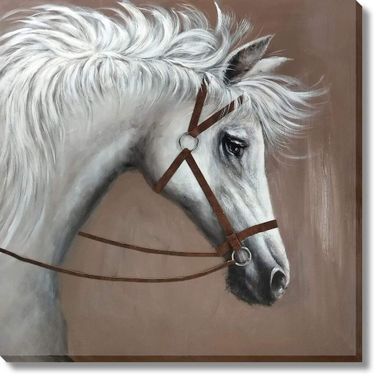 Contemplative Majestic Steed Portrait Canvas Wall Art In White