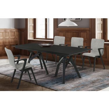 Cortina and Varde 5-Piece Black Rectangular Dining Set