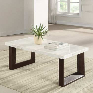 Edwyn Coffee Table with Natrual Marble Top In Espresso and Natural