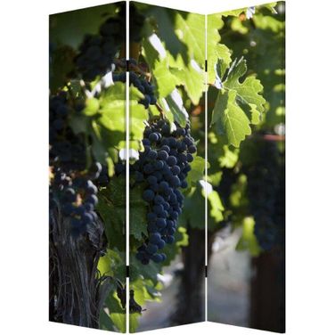 Homeroots Multi Color Wood Canvas Wine Country Screen