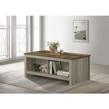 Nyla 43 Inch Coffee Table with Open Shelves Front and Back In Gray Oak