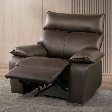 Onoria Recliner In Brown