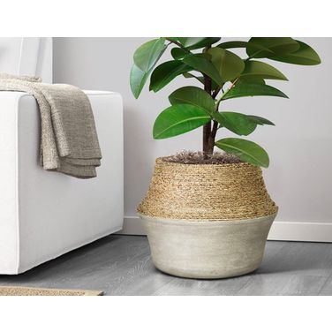 Patio Light Gray Beige Nature Milk Jug Grass And Concrete Pot