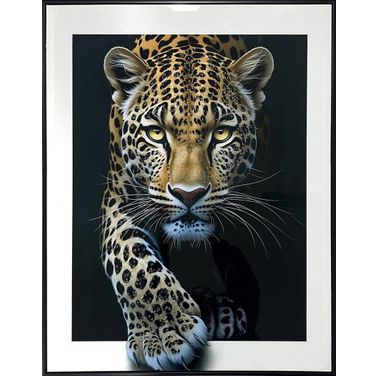 Untamed Midnight Stalker I - 32" x 24" - Gloss Canvas with Rocks In Black/Gold/White