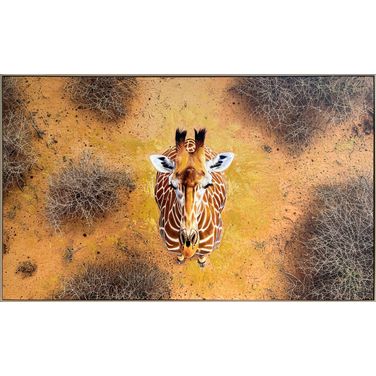 Untamed Savanna Gaze - 36" x 60" - Hand-Embellished Canvas In Brown/Black/Tan
