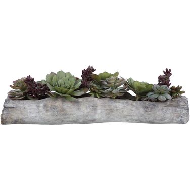 Uttermost Charita Lush Succulents