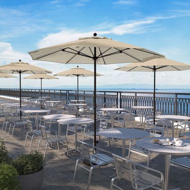 Venture 9' Patio Umbrella with Aluminum Pole Fiberglass Ribs Push Lift with Olefin Fabric In Antique Beige and Bronze