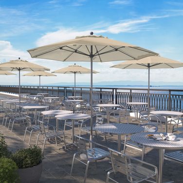 Venture 9' Patio Umbrella with Aluminum Pole Fiberglass Ribs Push Lift with Olefin Fabric In Antique Beige and Silver Anodized