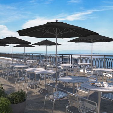 Venture 9' Patio Umbrella with Aluminum Pole Fiberglass Ribs Push Lift with Sunbrella Fabric In Black and Silver Anodized