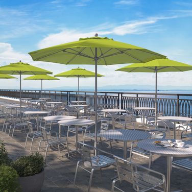 Venture 9' Patio Umbrella with Aluminum Pole Fiberglass Ribs Push Lift with Sunbrella Fabric In Parrot and Matte White
