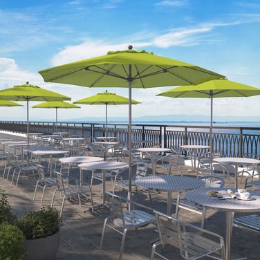 Venture 9' Patio Umbrella with Aluminum Pole Fiberglass Ribs Push Lift with Sunbrella Fabric In Parrot and Silver Anodized