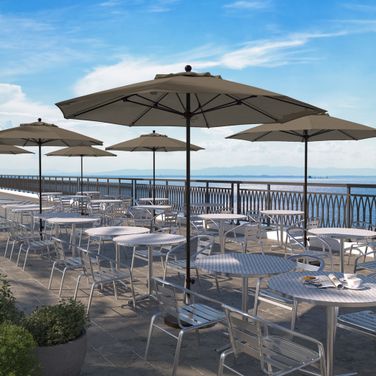 Venture 9' Patio Umbrella with Aluminum Pole Fiberglass Ribs Push Lift with Sunbrella Fabric In Spectrum Dove and Bronze