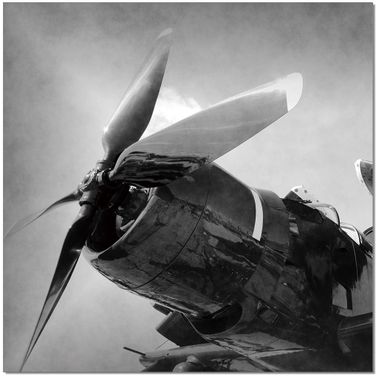 Black and White Aircraft Rotor Wall Art