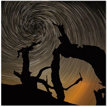 Black and Blue Aurora Wall Art