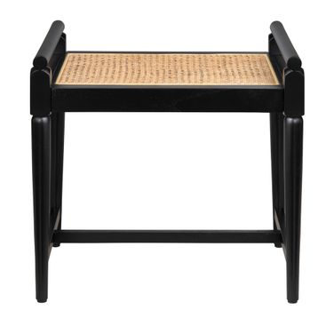 21.65 Inch Port Royal Accent Bench In Black and Tan