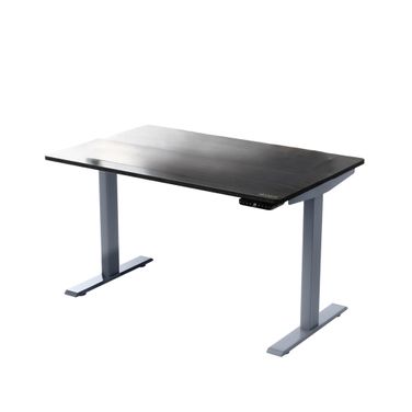30 Inch Adjustable Stainless Steel Computer Desk In Black and Gray