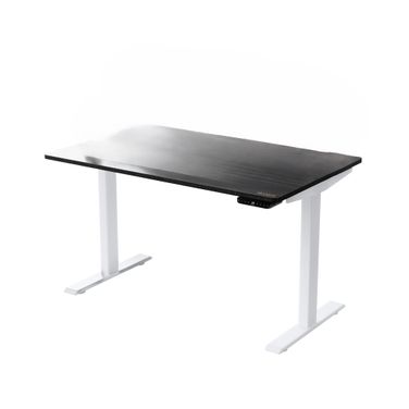 30 Inch Adjustable Stainless Steel Computer Desk In Black and White