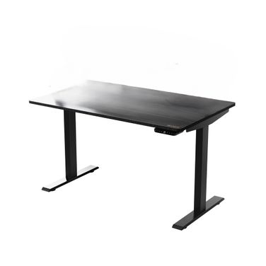 30 Inch Adjustable Stainless Steel Computer Desk In Black