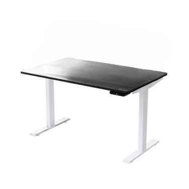 30 Inch Adjustable Stainless Steel Standing Desk In Black and White