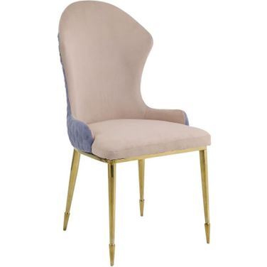 Acme Caolan Side Chair Set Of 2 In Tan and Gold