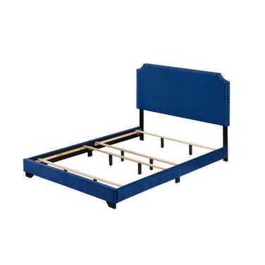 Acme Haemon Queen Bed In Blue Velvet