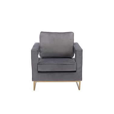 Adadon Velvet Upholstered Armchair In Gray and Gold
